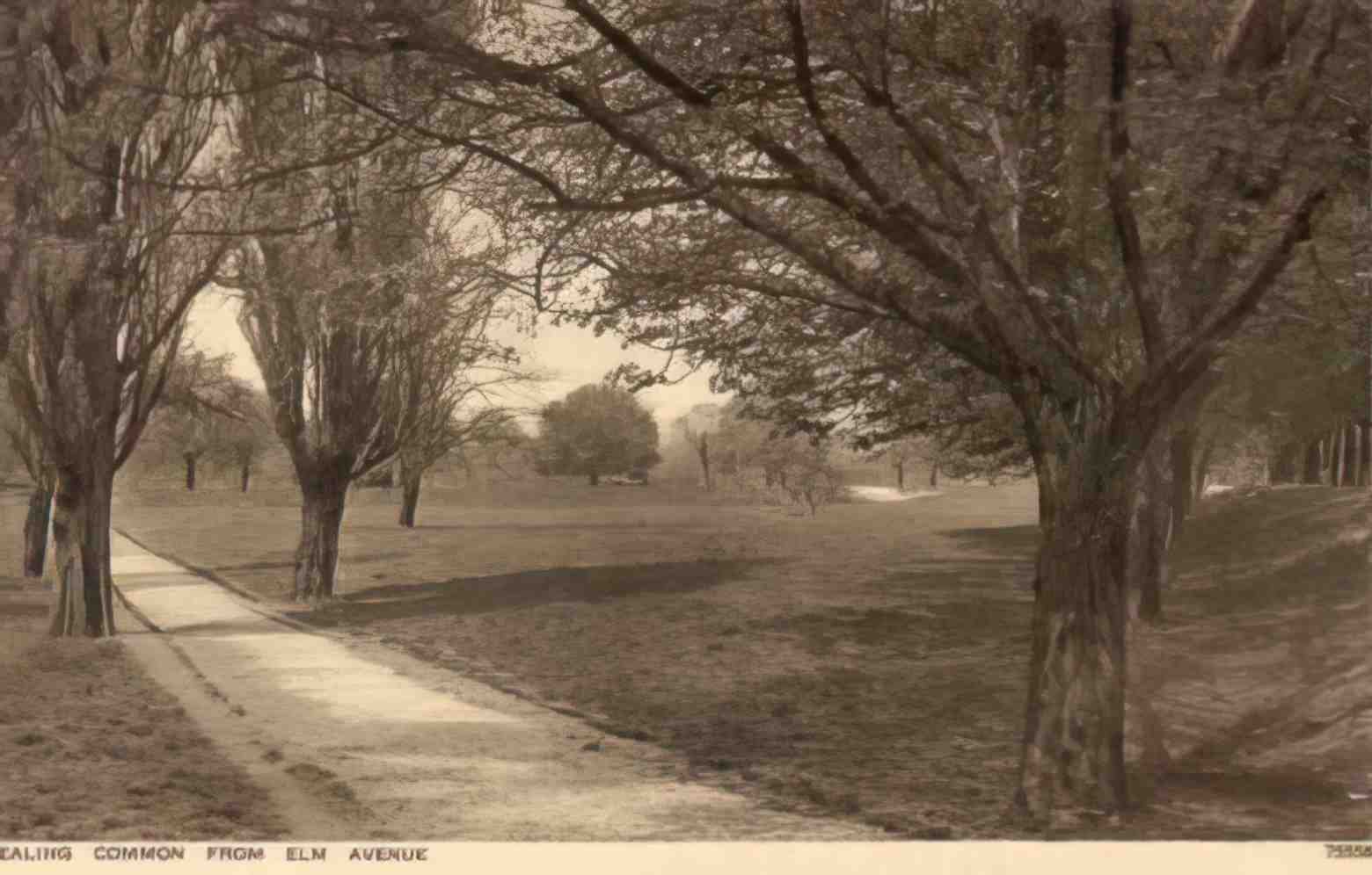 London Ealing Ealing Common from Elm Avenue Vintage A4 Photo Print