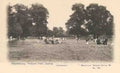 London Ealing Haymaking Walpole Park Vintage A4 Photo Print