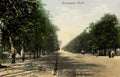London Greenwich Park Vintage A4 Photo Print