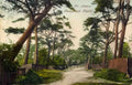 London Hampstead Heath The Avenue Vintage A4 Photo Print