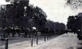 London Hyde Park 1918 Vintage A4 Photo Print