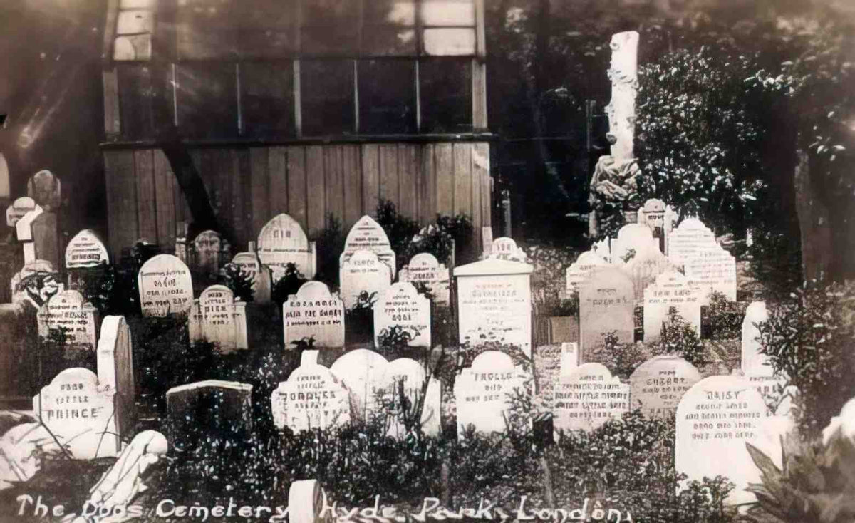 London Hyde Park Dogs Cemetery Vintage A4 Photo Print