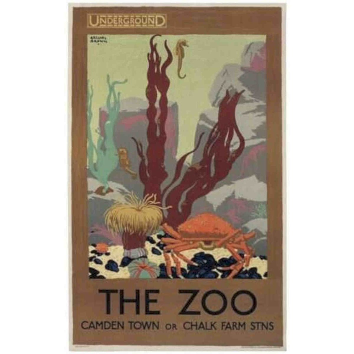 London Zoo Giant Crab Promotional Visua Vintage Retro Advert Poster A4 Photo Pr