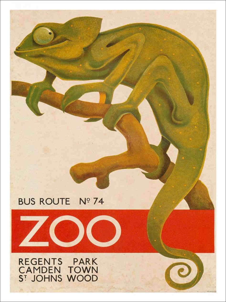 London Zoo Lizard Vintage Retro Advert Poster A4 Photo Print