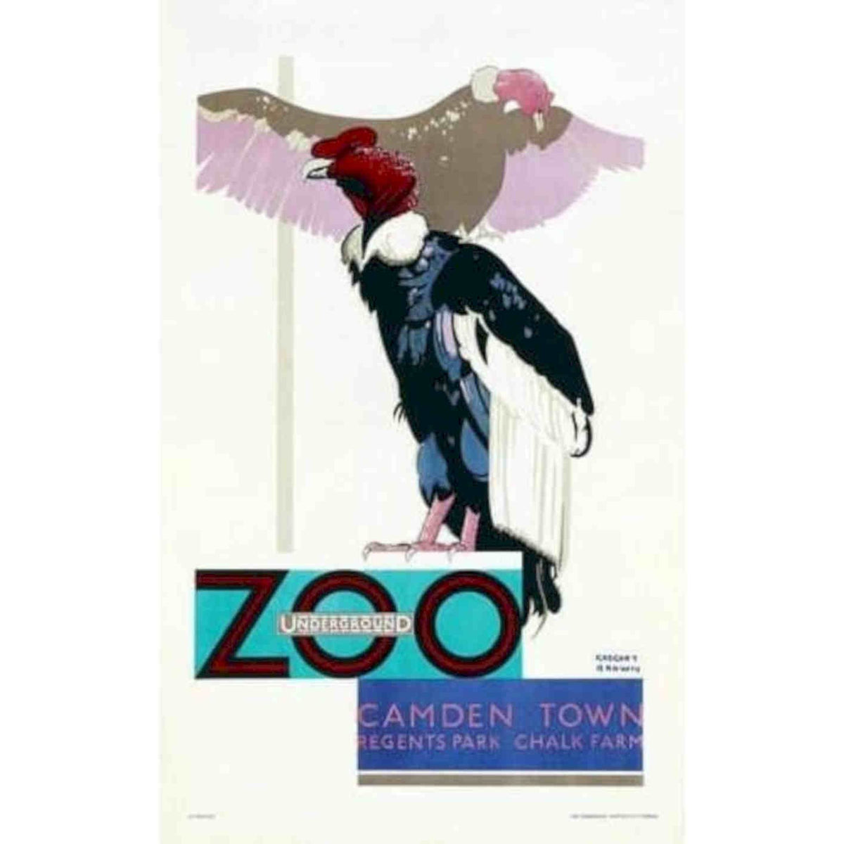 London Zoo Vulture Promotional A Vintage Retro Advert Poster A4 Photo Print