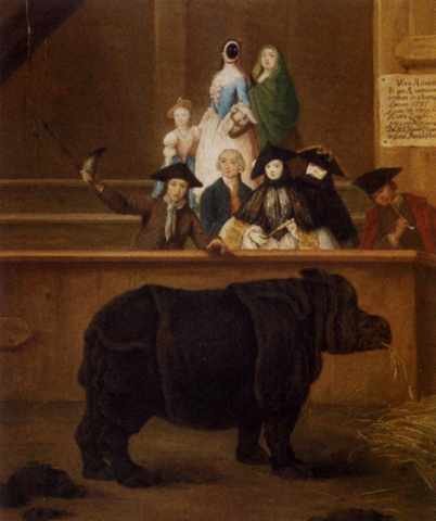 Longhi Pietro The Rhinoceros A4 Photo Print
