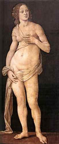 Lorenzo di Credi Venus  A4 Photo Print