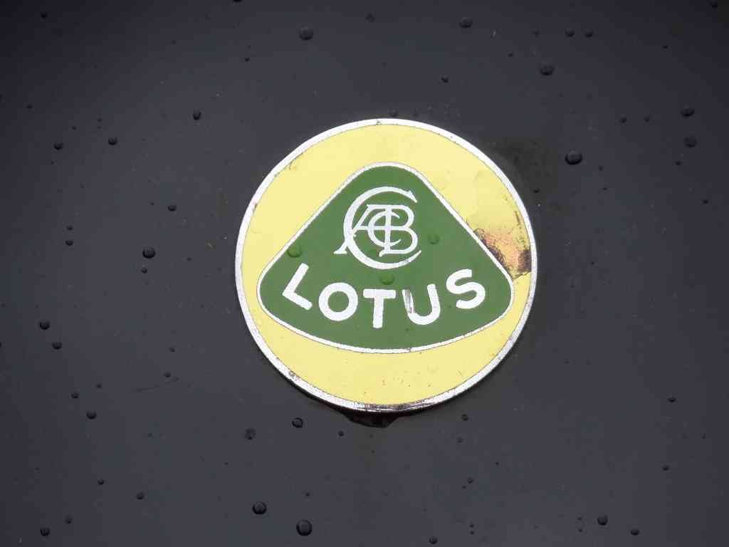 Lotus Bonnet 233 A4 Photo Print