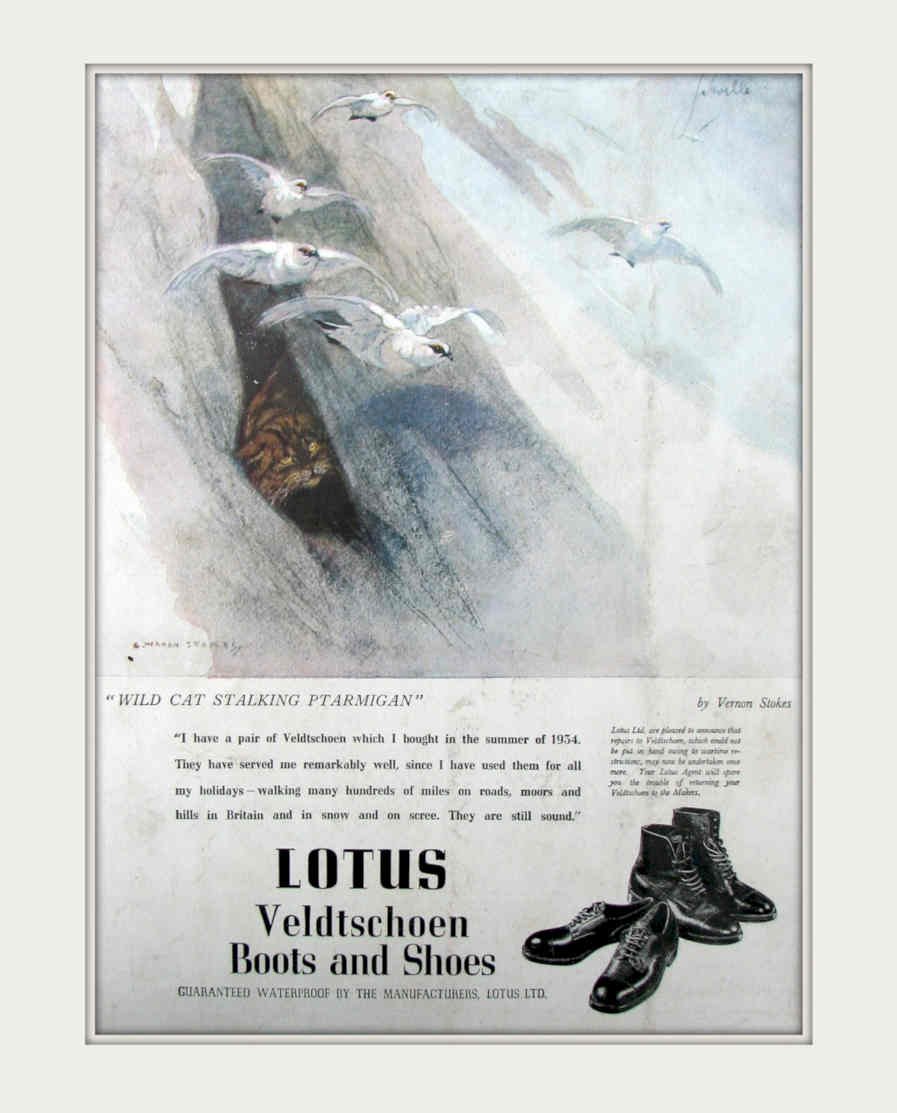 Lotus Boots Shoes Vintage Retro Advert Poster A4 Photo Print