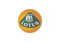 Lotus2 A4 Photo Print