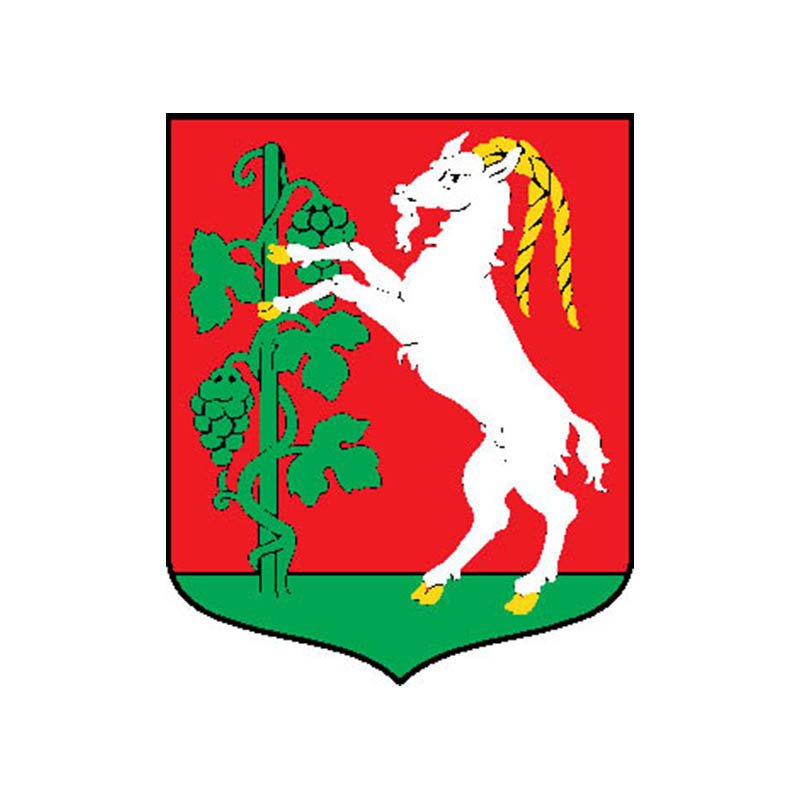 Lublin City Coat Of Arms N6570 A4 Photo Print