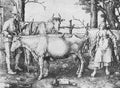 Lucas Van Leyden Lucas Van Leyden Milk Maid  A4 Photo Print