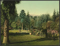 Lucky Baldwins ranch Pasadena Vintage A4 Photo Print
