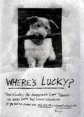 Lucky Terrier Poster Vintage Retro Advert Poster A4 Photo Print