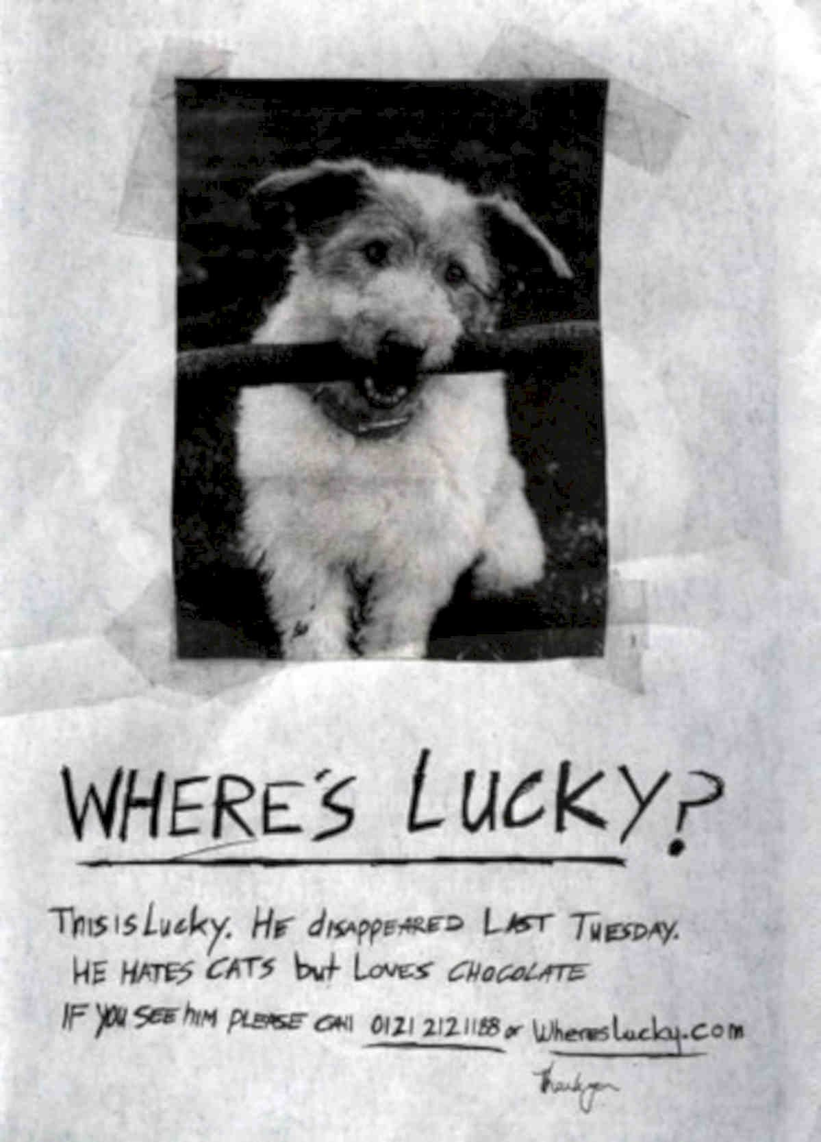 Lucky Terrier Poster Vintage Retro Advert Poster A4 Photo Print