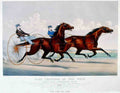 Lucy Goldsmith Maid Horse 001 Vintage A4 Photo Print
