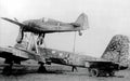 Luftwaffe Mistel 4 A4 Photo Print