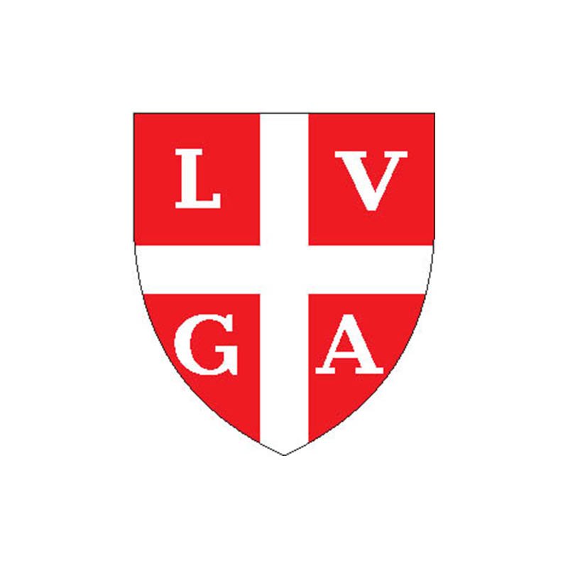 Lugano Dist Coat Of Arms N4294 A4 Photo Print