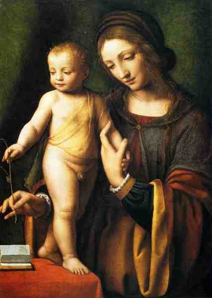 Luini Bernardino The Virgin And Child With A Columbine A4 Photo Print