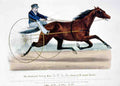 Lula Horse 001 Vintage A4 Photo Print