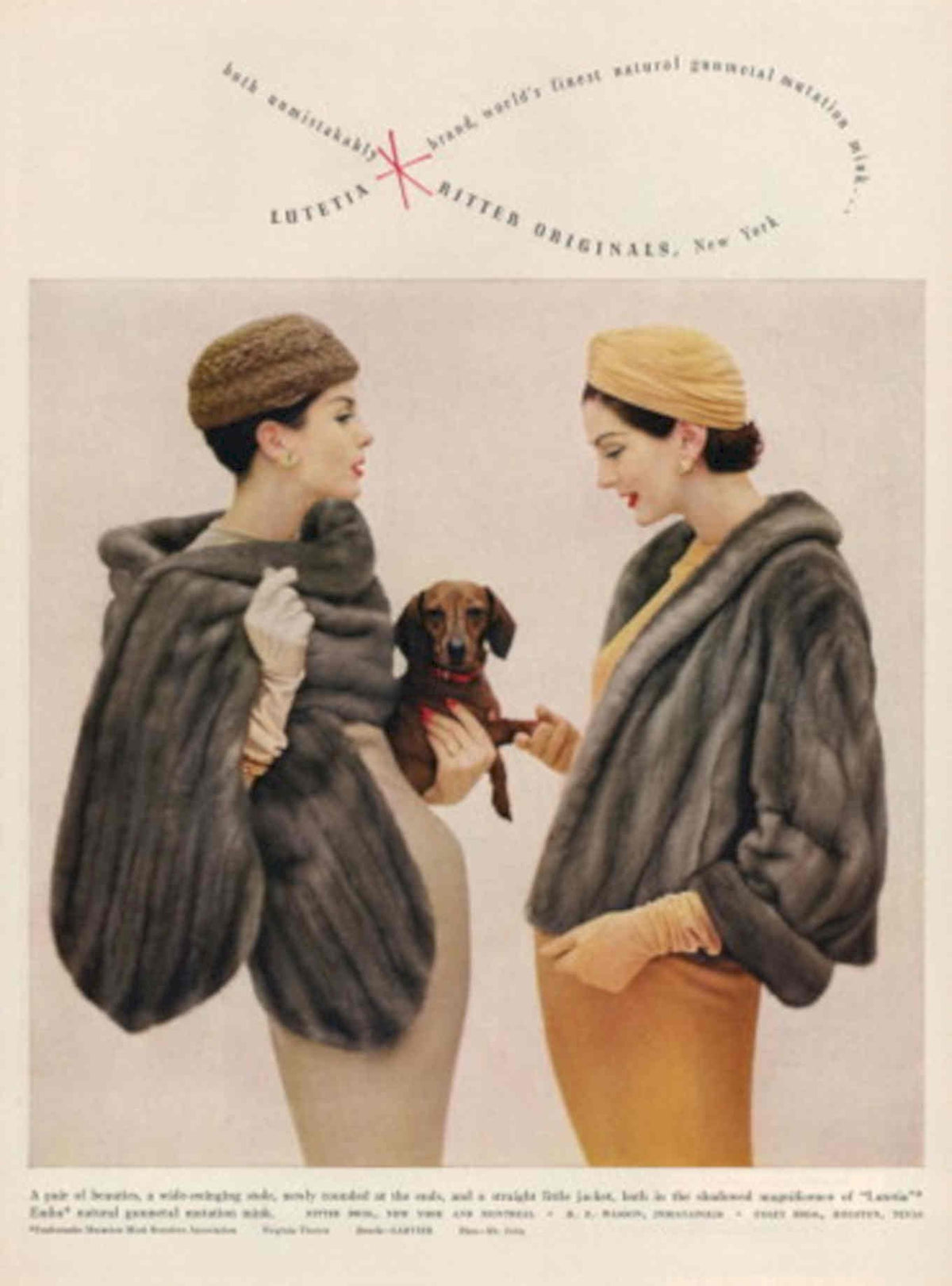 Lutelia Ritter Dachshund 1950s Vintage Retro Advert Poster