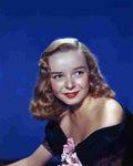 Lynn Diana 1 film star poster A4 Photo Print