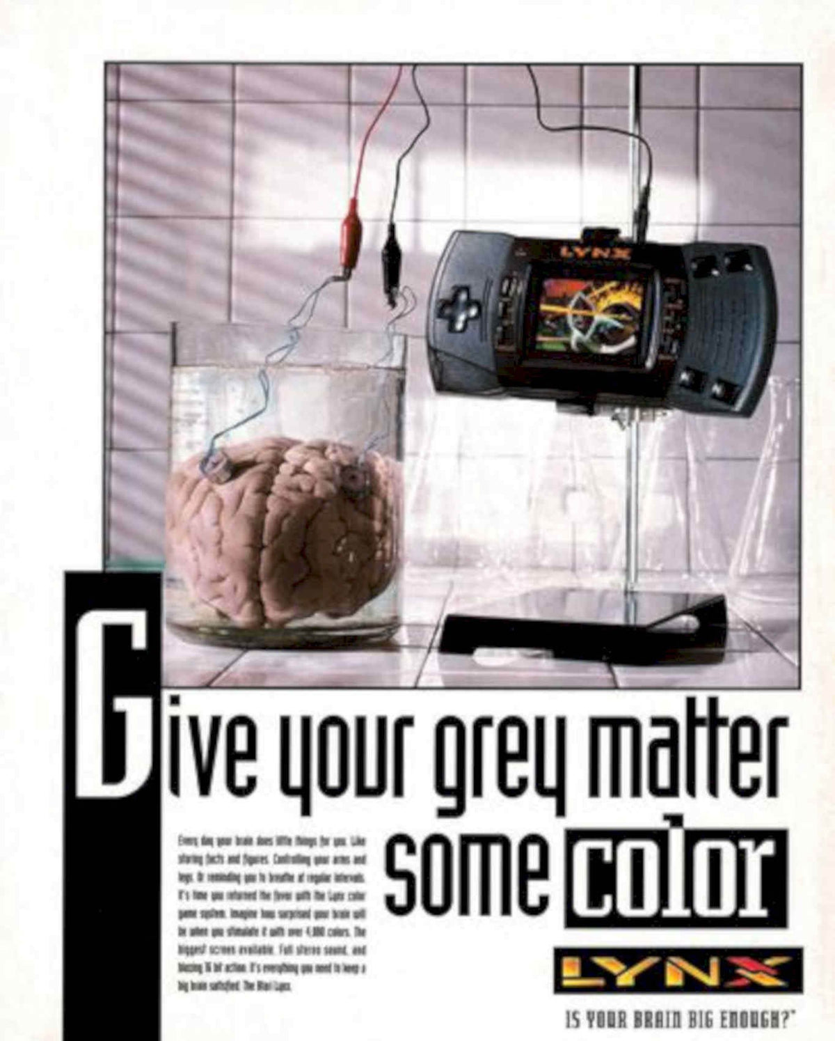 Lynx Brain Console Vintage Retro Advert Poster A4 Photo Print