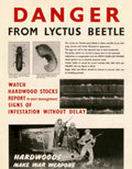 Lytcus Beetle Warfare Vintage Retro Advert Poster A4 Photo Print