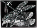 Ludwig Knaus ludwig knaus der gerichtsschreiber Art A4 Photo Print