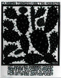 M C Escher 204649 Art A4 Photo Print