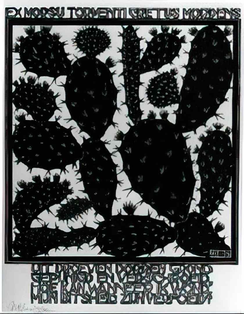 M C Escher 204649 Art A4 Photo Print