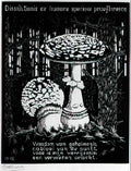 M C Escher 204660 Art A4 Photo Print