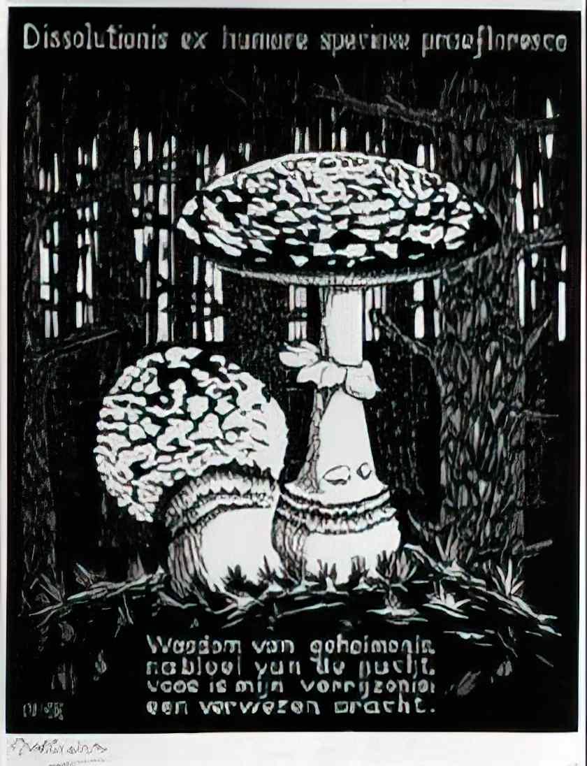 M C Escher 204660 Art A4 Photo Print