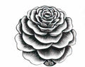 M C Escher 204695 Art A4 Photo Print