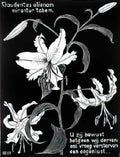 M C Escher 204697 Art A4 Photo Print