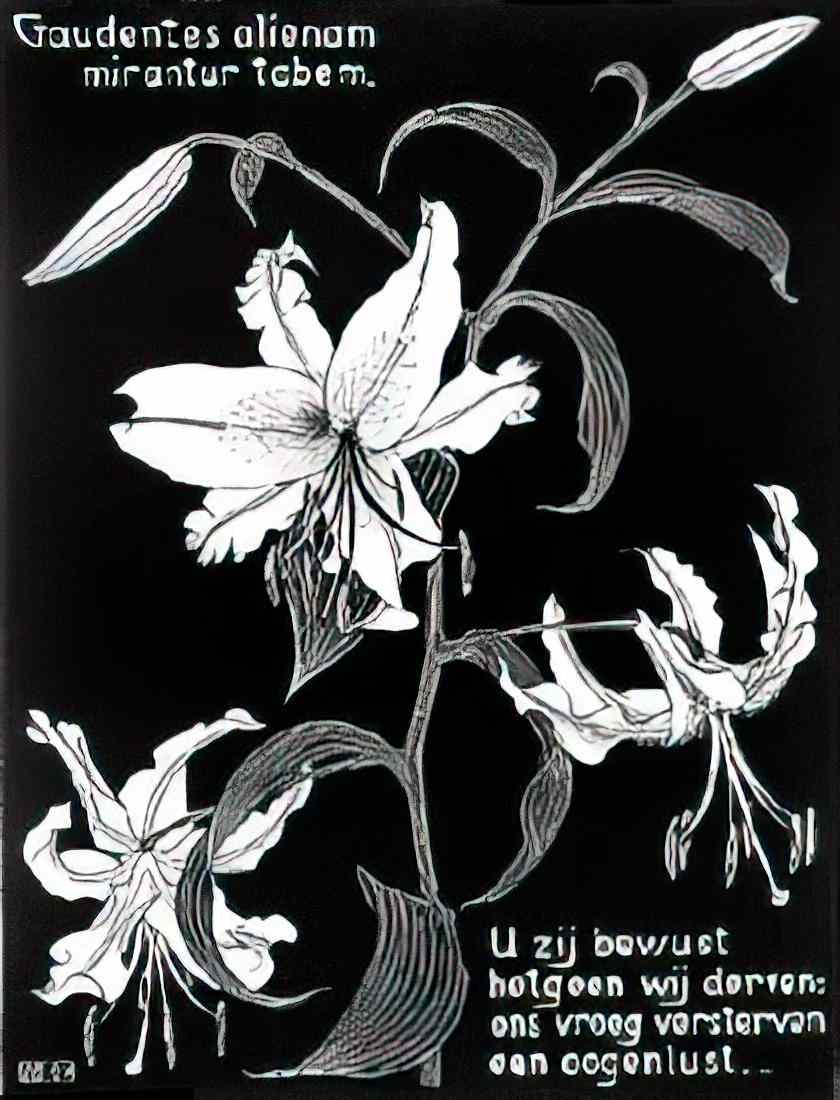M C Escher 204697 Art A4 Photo Print