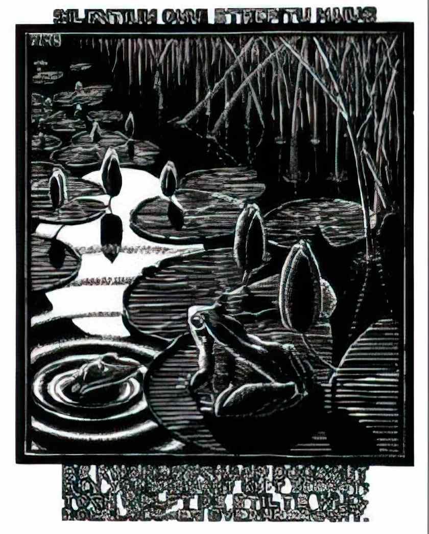 M C Escher 204700 Art A4 Photo Print