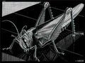 M C Escher 204704 Art A4 Photo Print