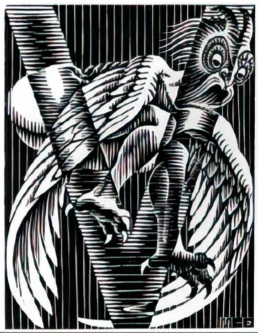 M C Escher 204725 Art A4 Photo Print