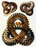M C Escher 204736 Art A4 Photo Print