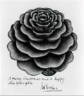M C Escher 204755 Art A4 Photo Print
