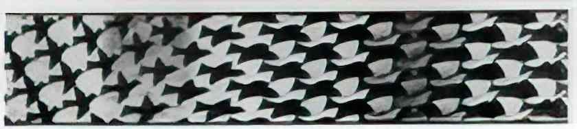 M C Escher bookplate a r a wertheim Art A4 Photo Print