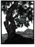 M C Escher corte corsica Art A4 Photo Print