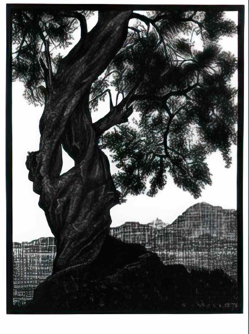 M C Escher corte corsica Art A4 Photo Print
