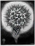 M C Escher emblemata butterfly Art A4 Photo Print