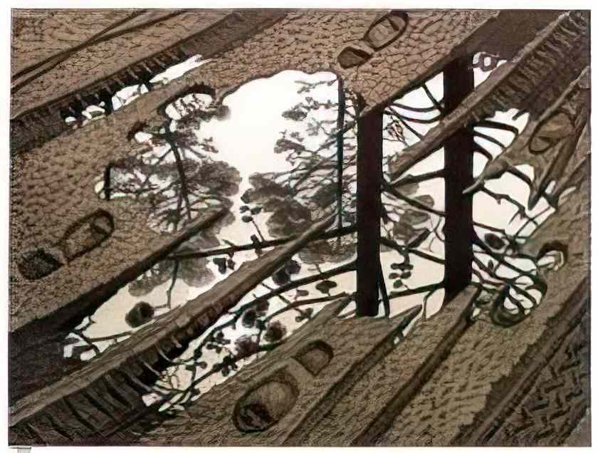 M C Escher emblemata dice Art A4 Photo Print