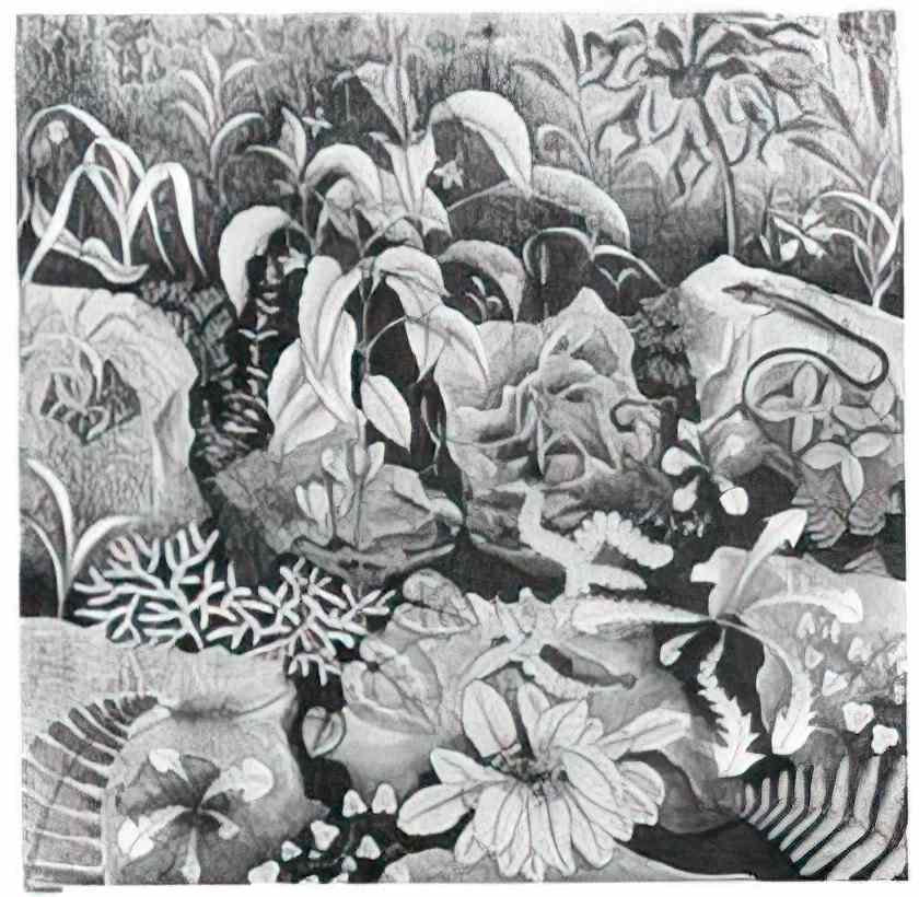 M C Escher emblemata lute Art A4 Photo Print