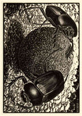 M C Escher scarabs A4 Photo Print