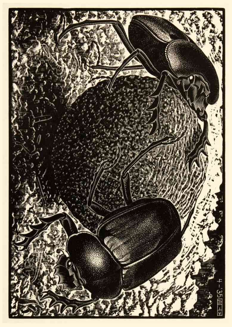M C Escher scarabs A4 Photo Print