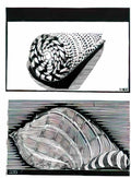 M C Escher flor de pascua beautiful Art A4 Photo Print